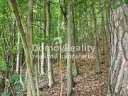 IMG_20250605_153146733_HDR