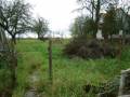 IMG-20210521-WA0000